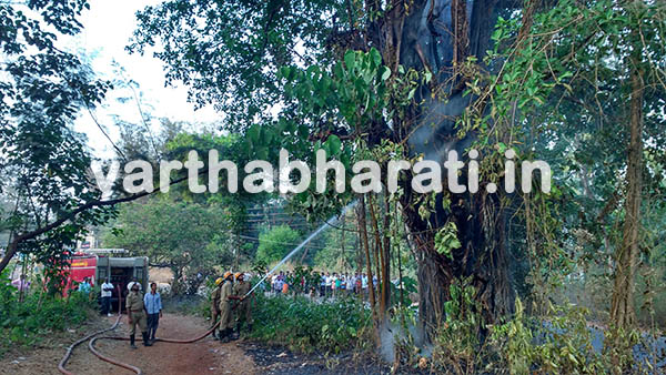 ಪುನರೂರು ಬಳಿ ಮರಗಳಿಗೆ ಆಕಸ್ಮಿಕ ಬೆಂಕಿ